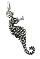 Charm Giovanni Raspini Charms in Argento 06448 - 06448